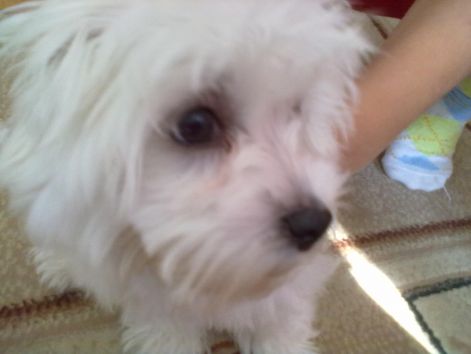 20110805051.jpg