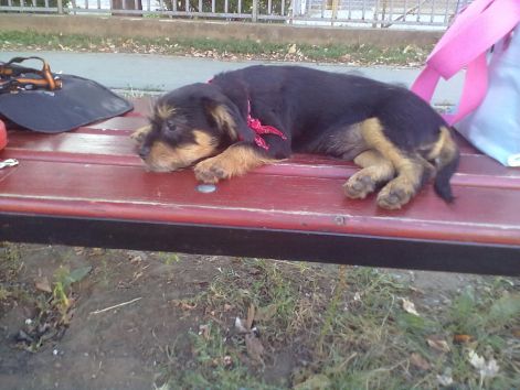 20110911187.jpg