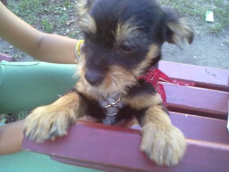 20110911194.jpg