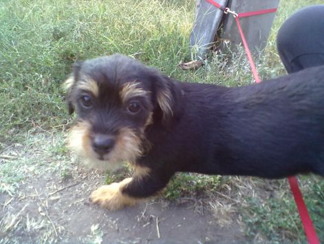 20110921210.jpg