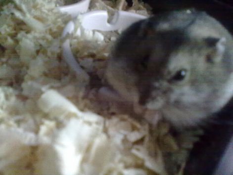 20111102354.jpg
